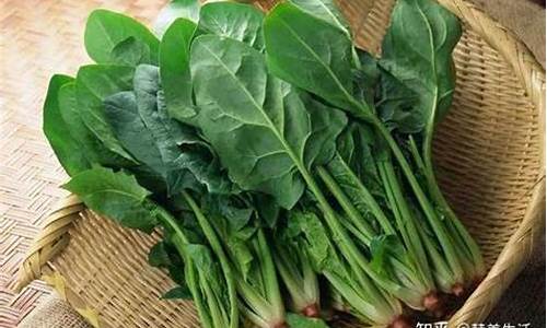 线上菠菜注册(菠菜注册网址) (2)