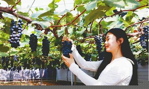 菠菜游戏官网地址：葡京开户(葡京会网络平台是)