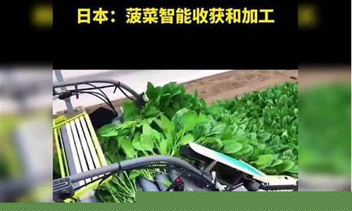 菠菜信息技术(菠菜技术交流论坛)