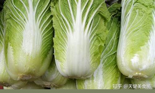 线上注册菠菜网：大白菜官网网址(大白菜首页)