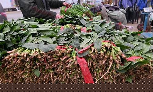 葡京注册网：2024最新菠菜网(每日更新菠菜网)