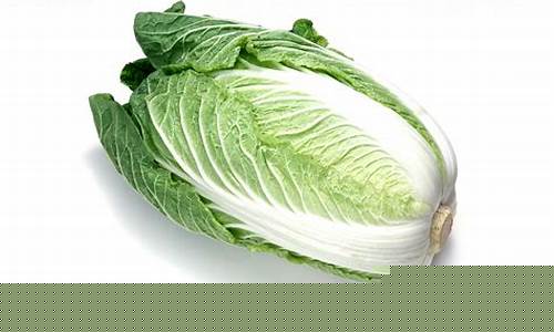 菠菜网投权威担保论坛：白菜资讯大全 (2)