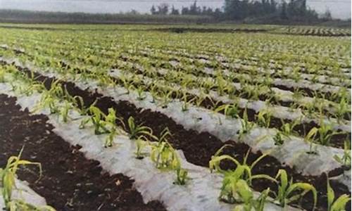 菠菜交流平台：菠菜导航(菠菜导航系统最新版本) (2)