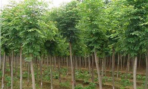 菠菜网平台大全(10大菠菜网) (2)