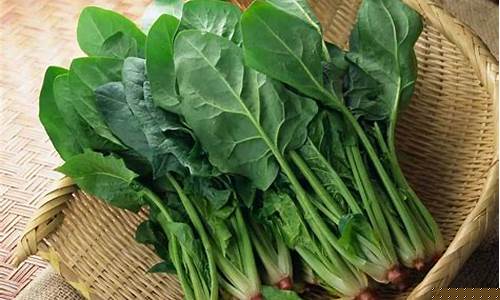 线上菠菜入口(线上菠菜技巧) (2)