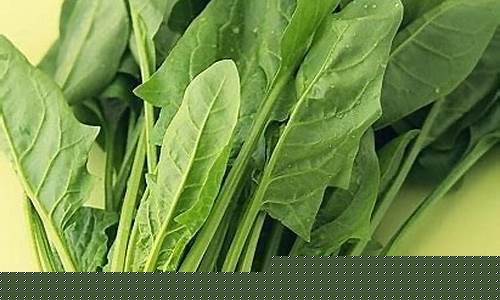 菠菜公司网址(菠菜公司下载) (2)