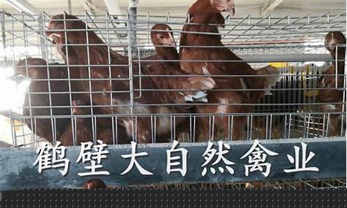 信誉菠菜论坛：永利官网(永利集团官网总站) (7)